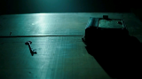 0260_5_v732.png