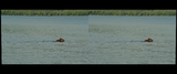 0707_aylrnkrllg.2014.3d.1080p.bluray.dual.x264_hdm.mkv_snaps_9qpq.png