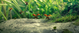 1110_vlcsnap_2014_08_12_08h49m18s226_bjp0.png