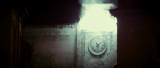 1453_6_f5y5.png