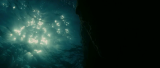 1519_4_81t9.png