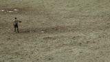 1564_child.of.god.2013.limited.1080p.bluray.x264_geckos.mkv__ykrh.png