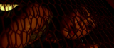1621_7_xx45.png