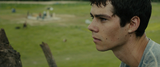 1688_the.maze.runner.2014.1080p.bluray.x264_sparks.mkv_snaps_wkky.png