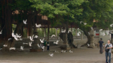 1866_2_uiow.png