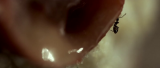 1899_vlcsnap_2016_01_11_11h54m28s572_otek.png