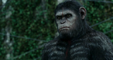 2134_dawn.of.the.planet.of.the.apes.2014.tr.brrip.xvid_oped._y637.png