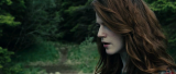 2274_10_j9fk.png