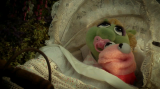 2574_muppets.most.wanted.2014.brrip.xvid_oped.avi_snapshot_0_1sr5.png