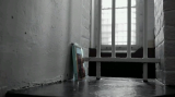 2909_3_nzf9.png