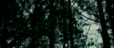 2945_4_r9uq.png