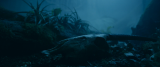 3235_3_bg3w.png