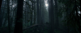 3293_1_htpb.png