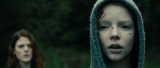3567_9_bayx.png