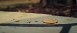 4153_vlcsnap_2016_01_27_16h50m15s023_pm61.png