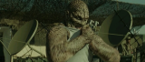 4813_7_8pxd.png