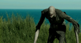 4923_8_rqhm.png