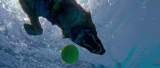 5104_vlcsnap_2016_01_19_14h29m07s692_55uk.png