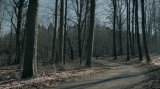 5406_2_pacb.png