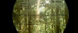 5532_by96lsau_bp8r.png