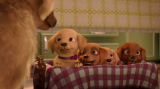 5966_barbie.her.sisters.in.the.great.puppy.adventure.brrip.2_5hqe.png