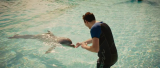 6250_vlcsnap_2014_12_23_11h33m03s20_1283.png