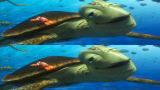 6418_1_mw8n.png