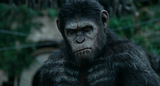 6822_dawn.of.the.planet.of.the.apes.2014.bluray.720p.dual.op_dsai.png