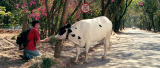 6921_vlcsnap_2015_12_18_22h45m23s685_xd49.png