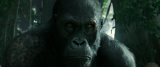 7154_2_5t42.png