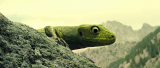 7260_vlcsnap_2014_08_12_08h49m50s25_7nyr.png