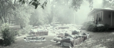 7283_3_re0r.png