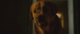 7460_vlcsnap_2015_05_16_11h53m13s008_j0fx.png