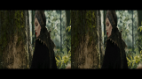 8223_maleficent.2014.3d.bluray.hsbs.1080p.dual.x264_chd3d.mk_8a03.png