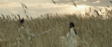 8570_vlcsnap_2016_01_30_00h11m13s615_mcgv.png