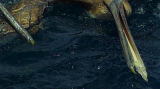 8648_2_eq78.png