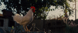 8655_vlcsnap_2015_12_26_19h52m36s822_de6h.png