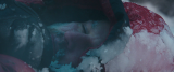 8800_vlcsnap_2016_01_13_21h14m33s504_9383.png