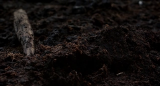 8873_vlcsnap_2015_04_12_13h17m07s575_67ih.png