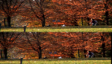 8884_1_q9zv.png