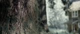 8930_3_et0g.png