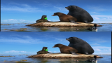 8968_2_cobu.png