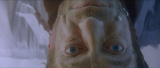 9123_vlcsnap_2014_07_17_11h07m09s15_fd58.png