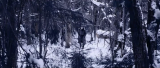 9198_6_ys33.png