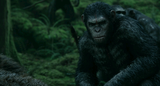 9236_dawn.of.the.planet.of.the.apes.2014.bluray.720p.dual.op_0n1k.png