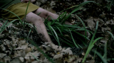 9353_6_wgjl.png