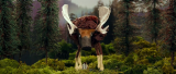 9673_vlcsnap_2015_12_30_23h51m12s374_8mof.png