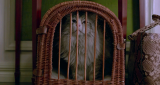 9961_3_np2e.png